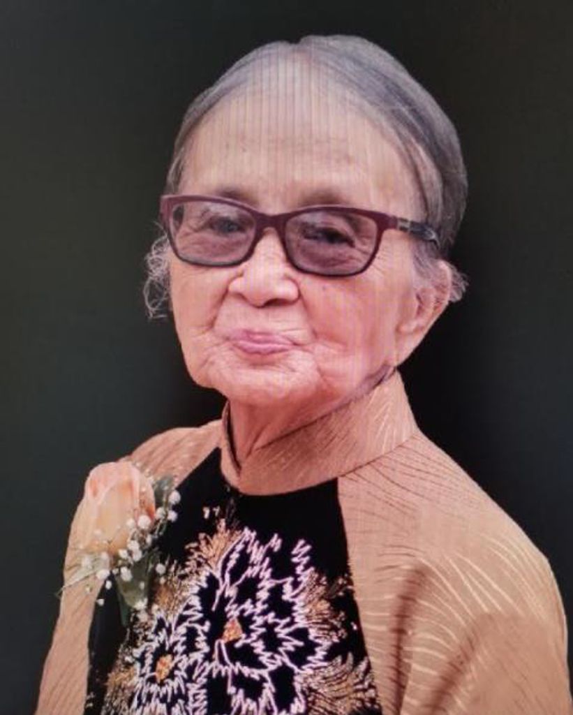 Van Thi Nguyen