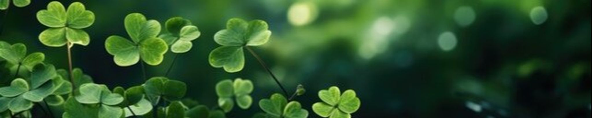 Cover for Thomas John Ryan III's Obituary