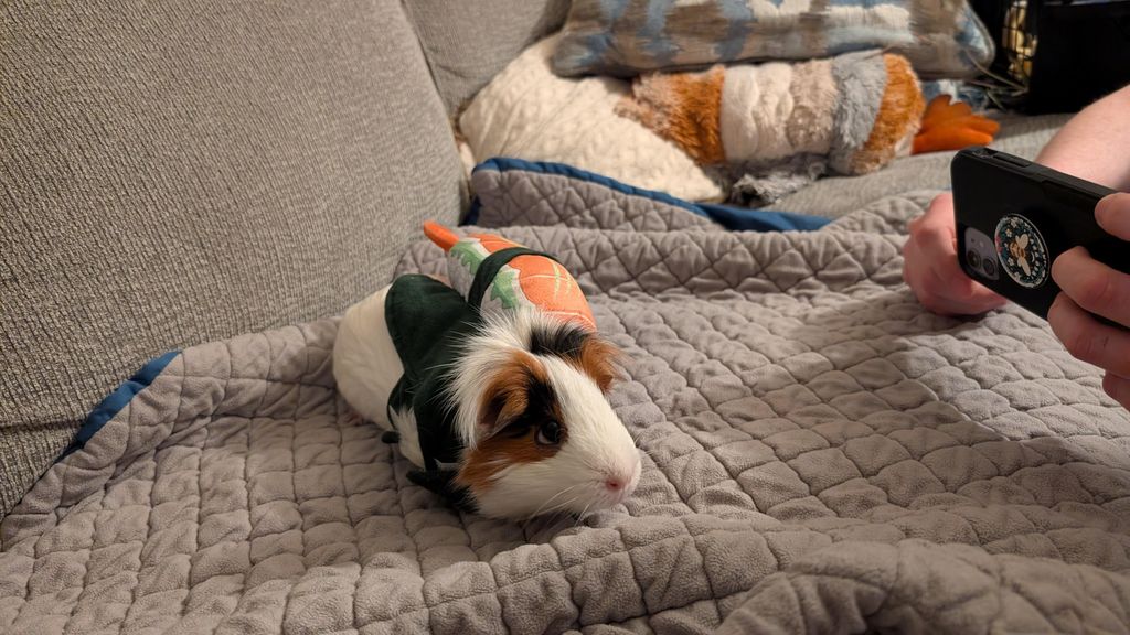 Loaf Profile Photo