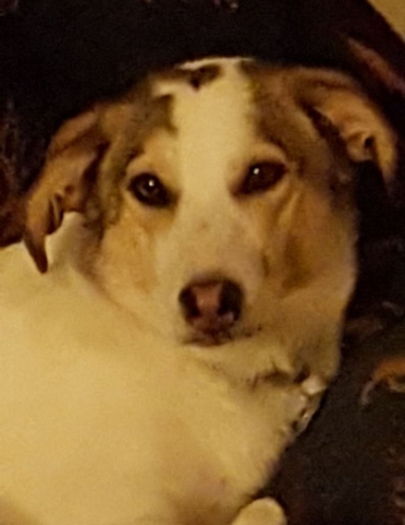 Gracie  Mae Kyre
