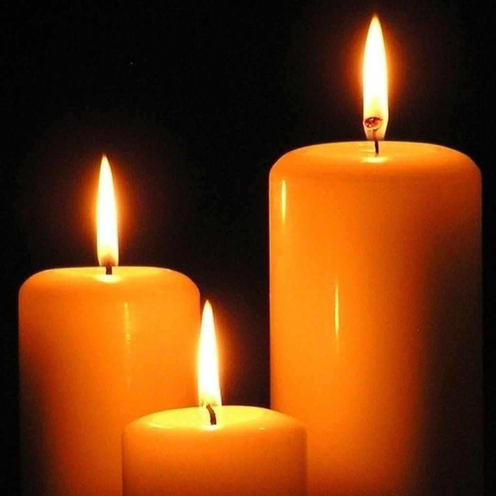 David L. Murdock Profile Photo