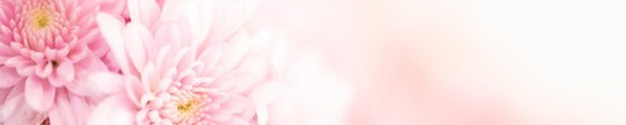 Cover photo for Carmen Teofila Naranjo's Obituary