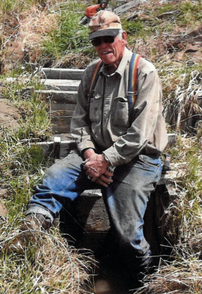 Harry Roy Reed Profile Photo