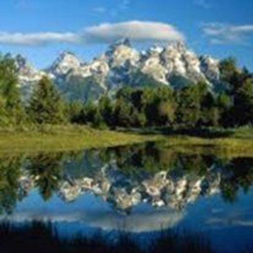 John Snyder Profile Photo