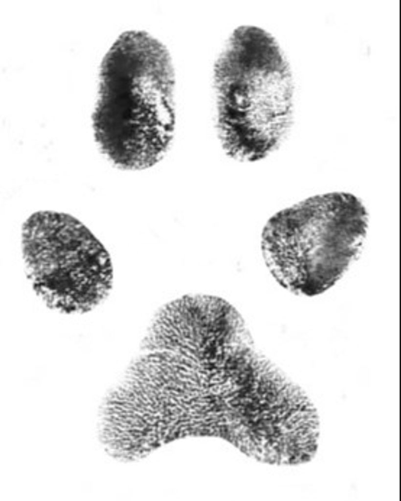 Cash Bernard Profile Photo