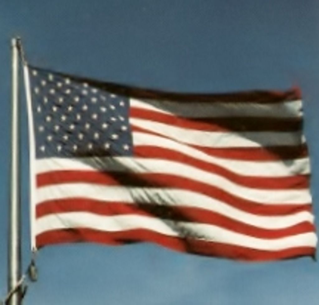 Nicholas Mangini Profile Photo