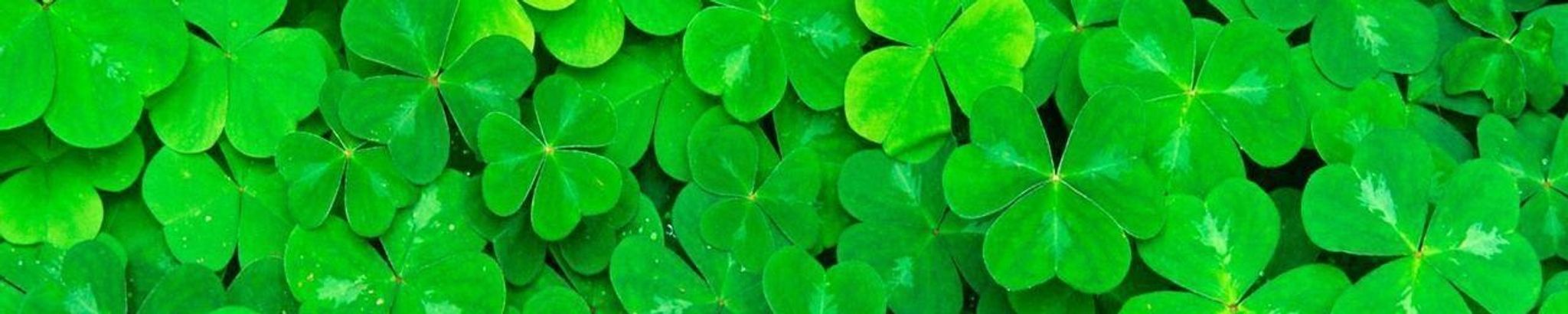 Cover photo for John Joseph Dolan's Obituary