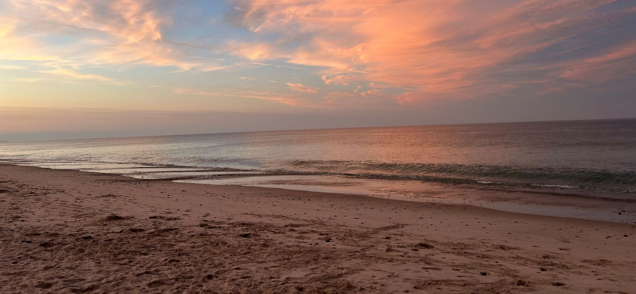 Cover for Janet M. Healey-Fucci's Obituary