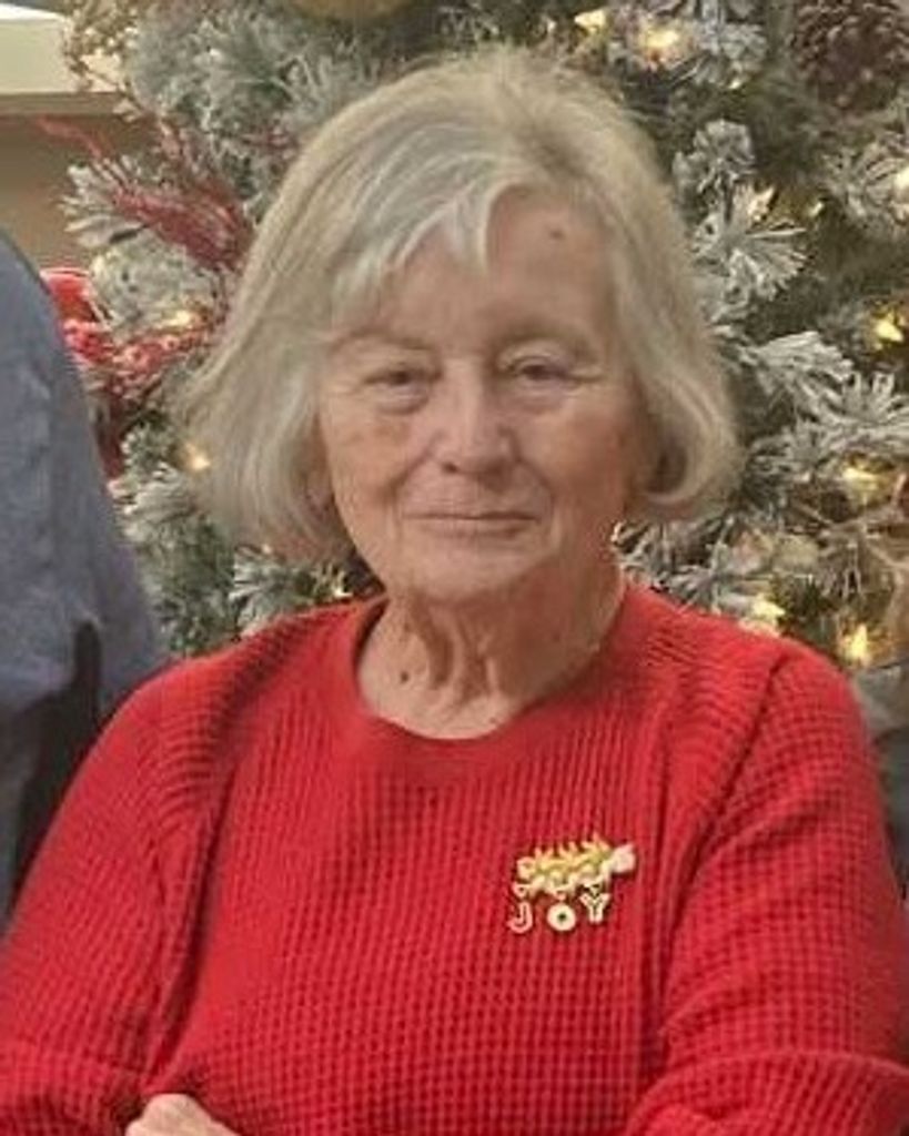 Shirley Ann Bauer