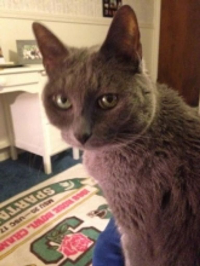 Giffy Bundt Profile Photo