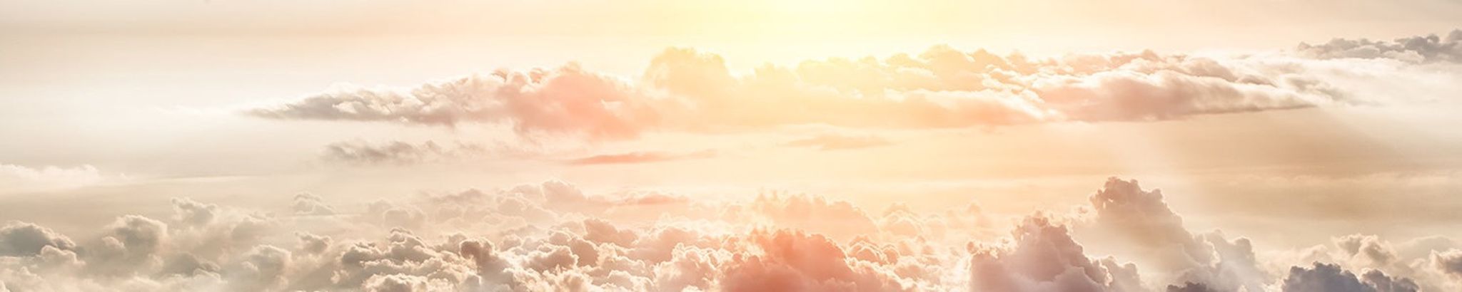 Cover photo for Wilbert Shepard, Jr.'s Obituary