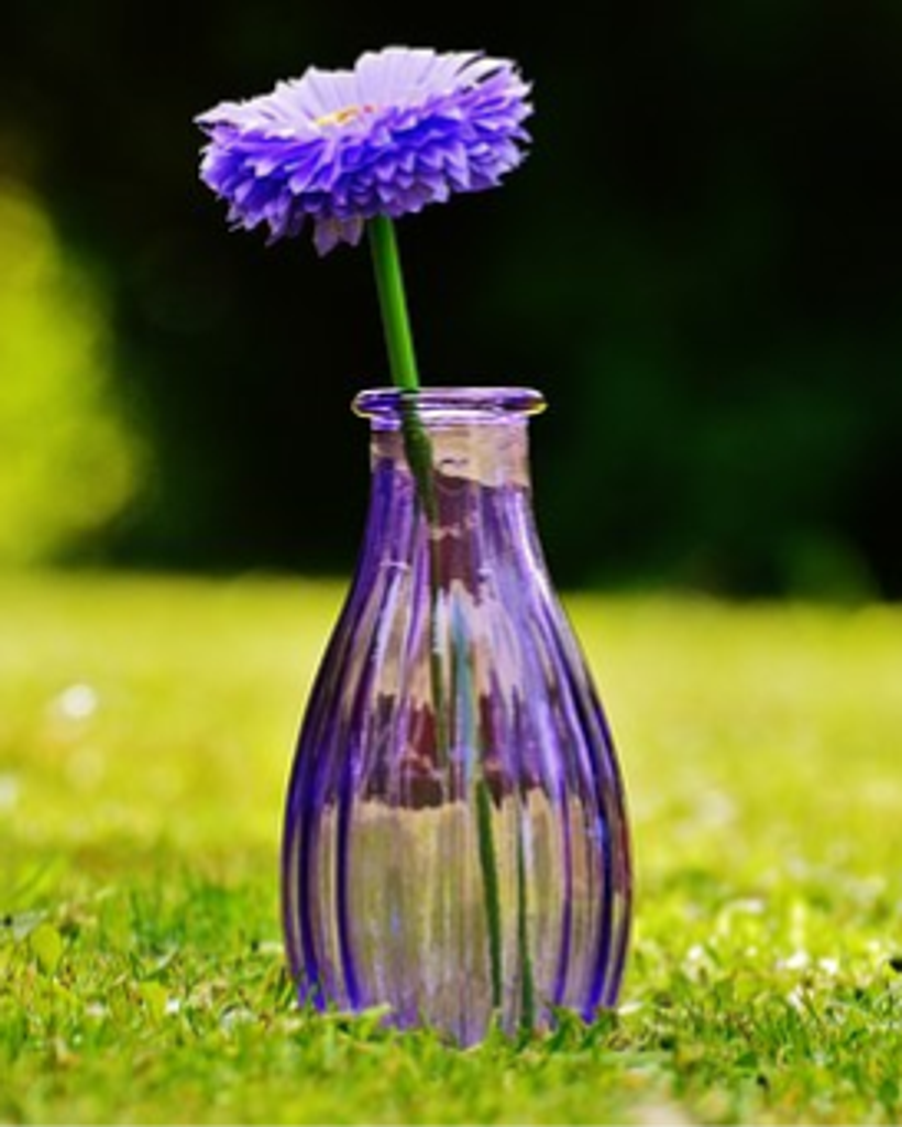 Heather Nicole Weiss Profile Photo