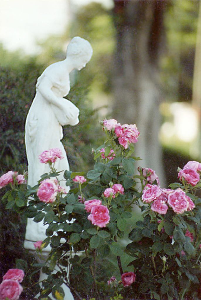 Nelda Yvonne Akahoshi