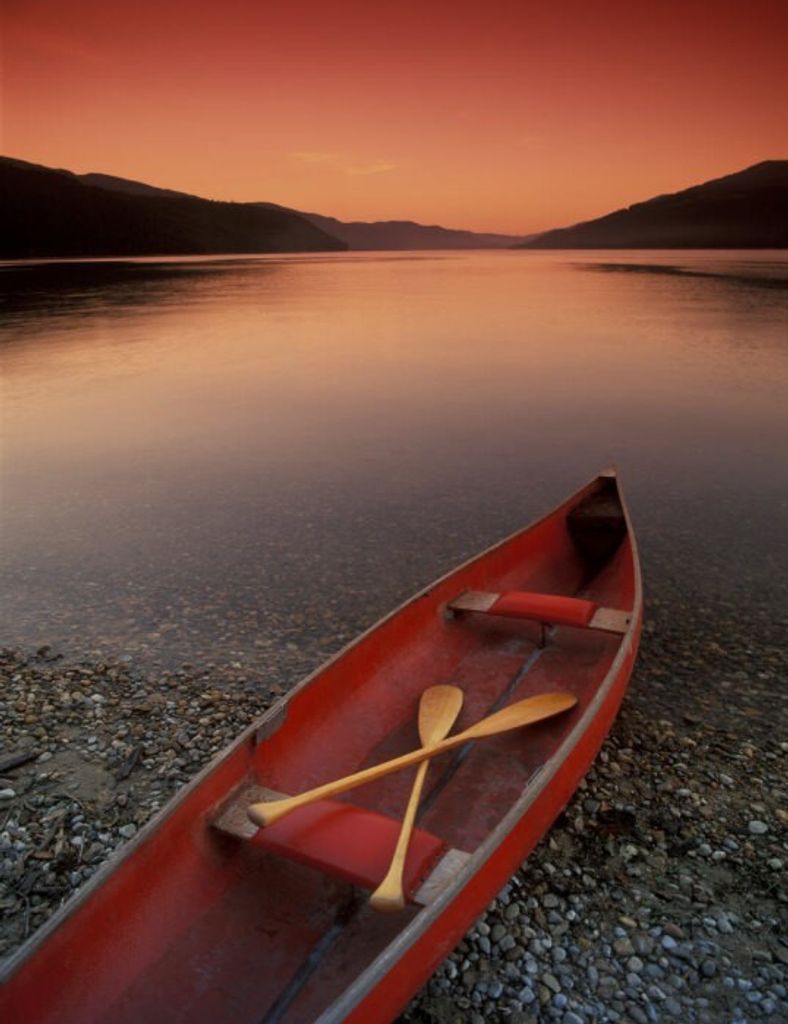 Darin Phillip Robinson Profile Photo