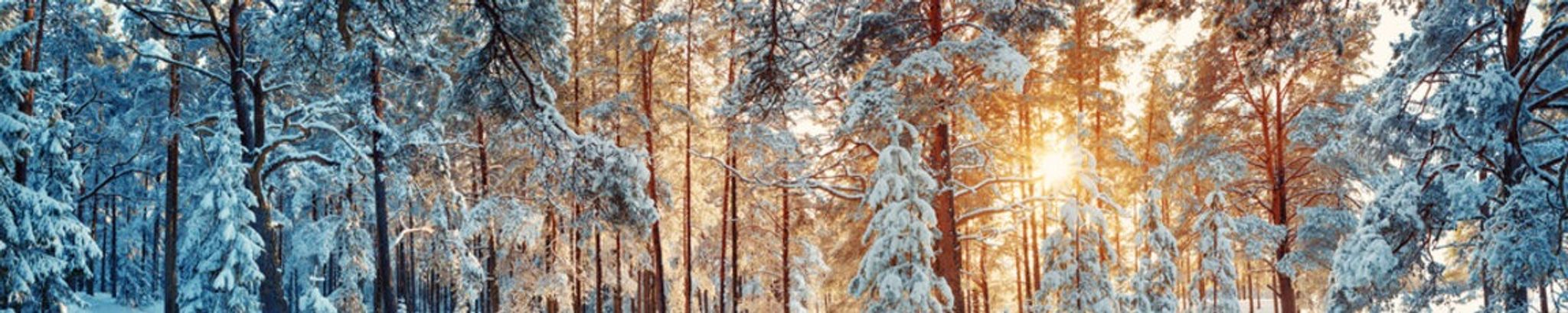 Cover for 2025 Holiday Remembrance Service's Obituary