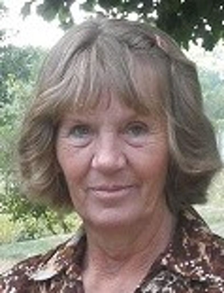 Elayne M. Niquette Profile Photo