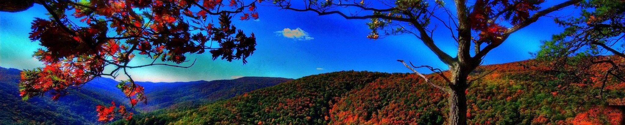 Cover photo for Janice Woosley Young's Obituary