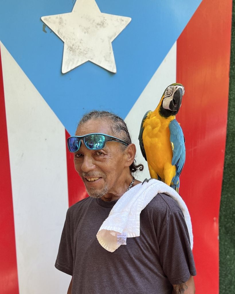 José Antonio Agosto Molina Profile Photo
