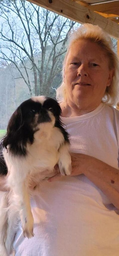 Linda P. Harrison Profile Photo