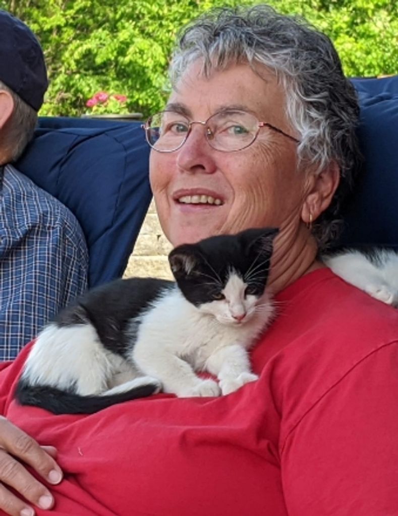 Carol Schlotthauer Profile Photo