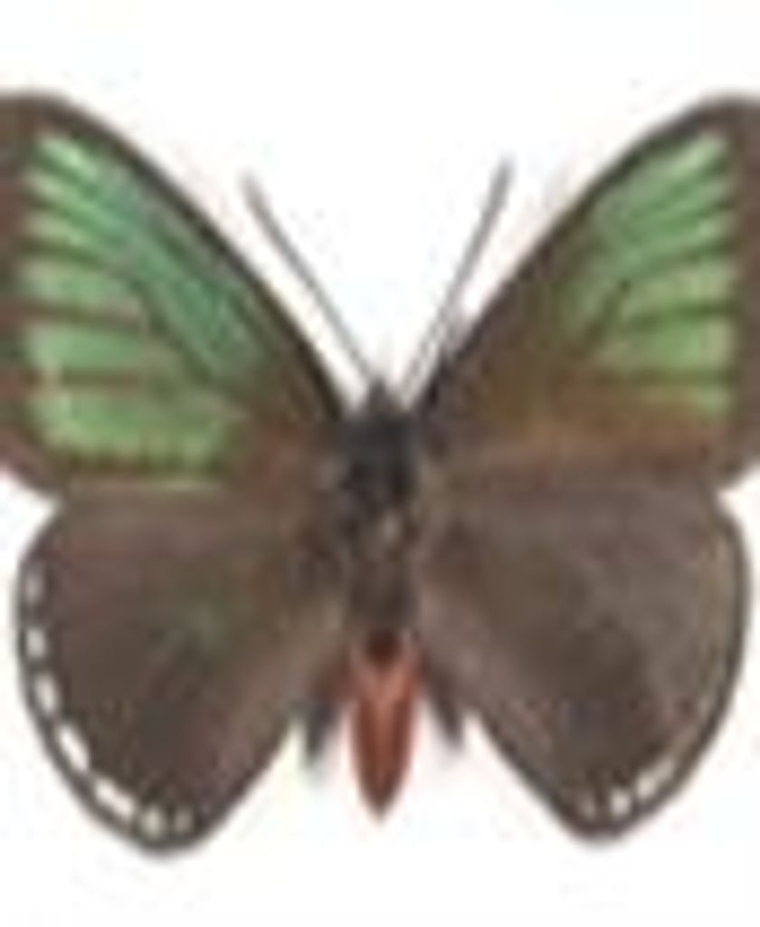 Patricia Earp Profile Photo