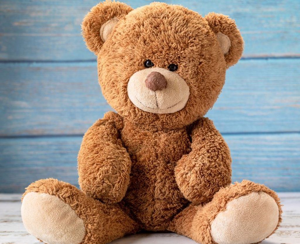 Noah Jay Matthew Profile Photo