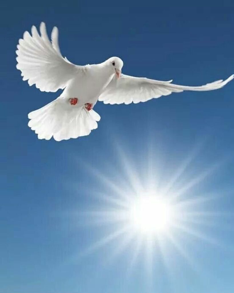 Mr. Billy Stonebarger Profile Photo