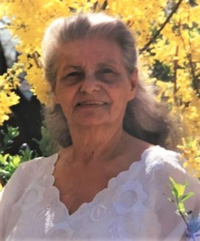 Laura Rosa Rivera Profile Photo