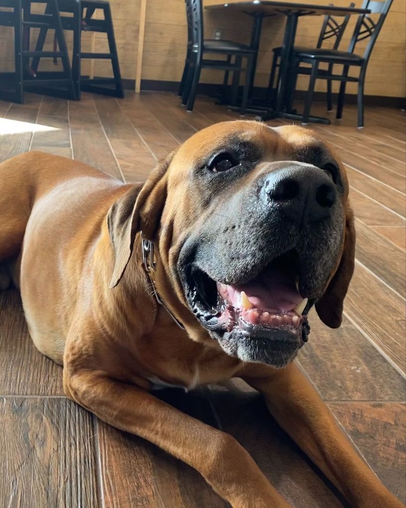 Hiroki Rice Profile Photo