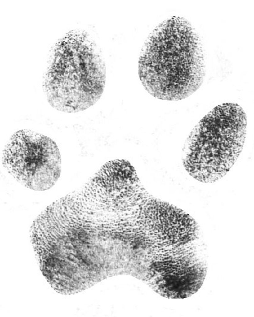 Mercy Lou Ann Sumpter Profile Photo