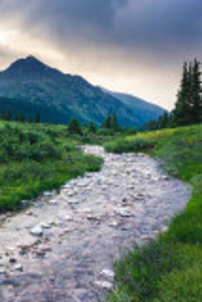 Timothy Dryden  Jr. Profile Photo