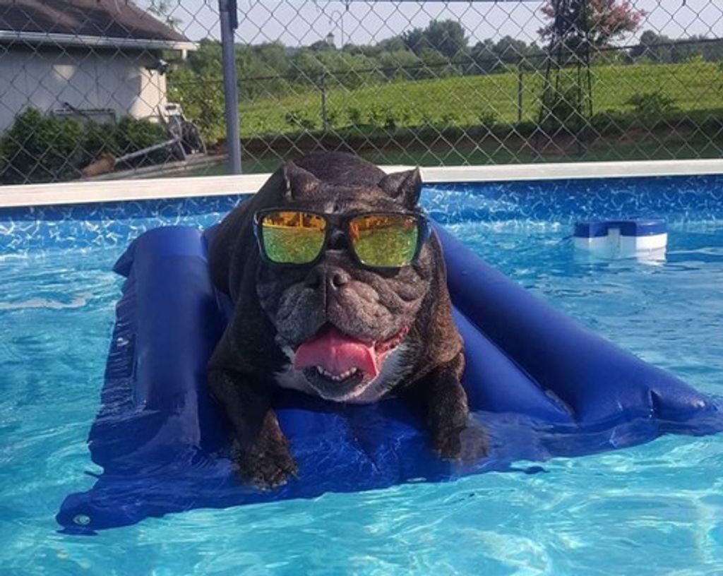 Cee-Lo Tucker Caesar Ramage Profile Photo