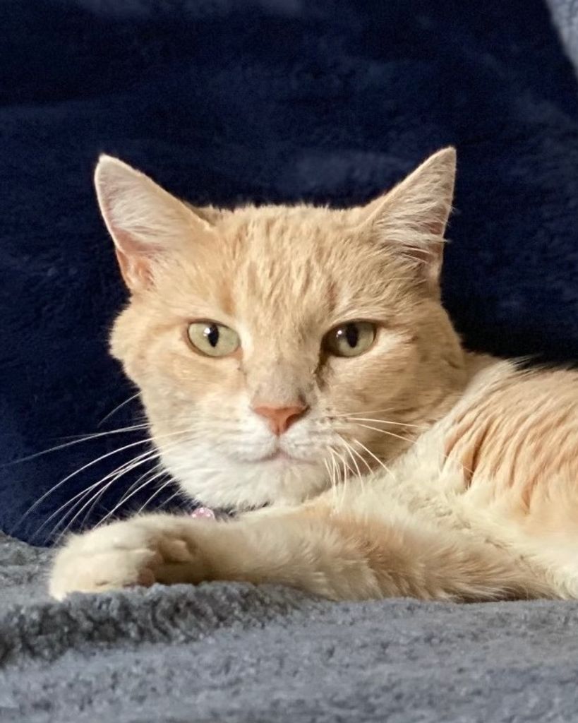 Sonoma Profile Photo