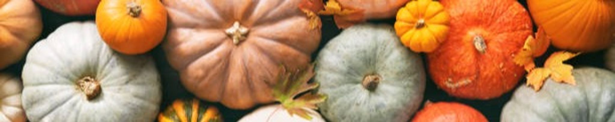 Cover photo for Douglas H. Slagel's Obituary