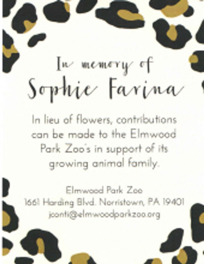 Sophie C. Farina