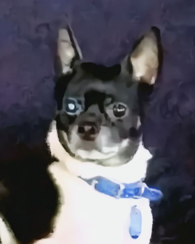 Bubba Barringer Profile Photo