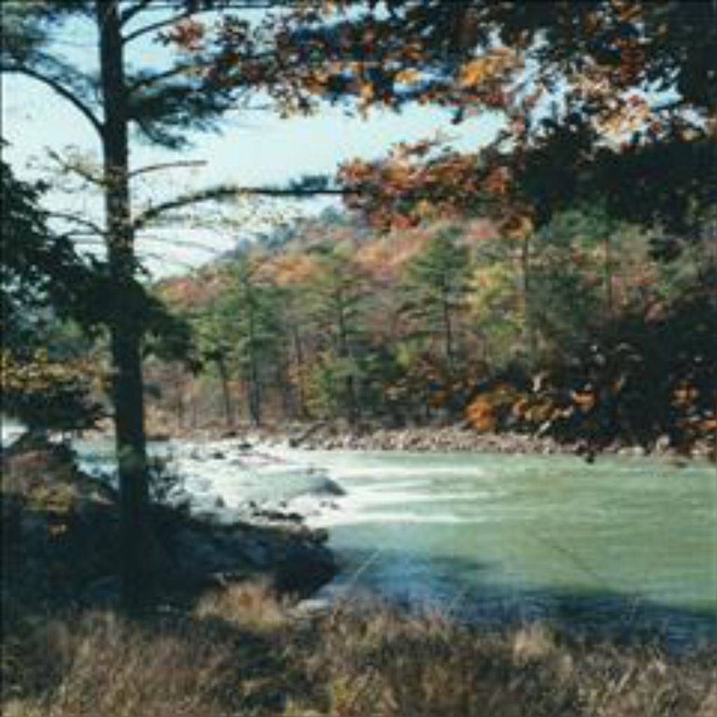 Michael Finley Profile Photo