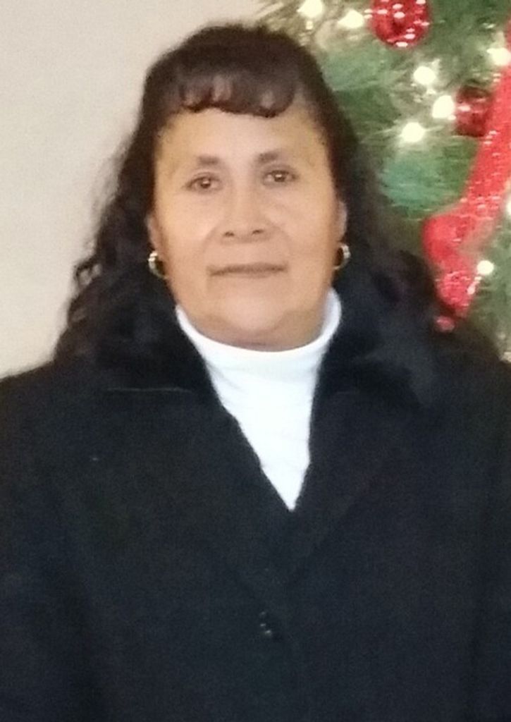 Tomasa Hinojoza