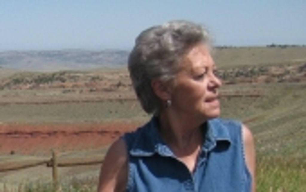 Judy L Hollingsworth