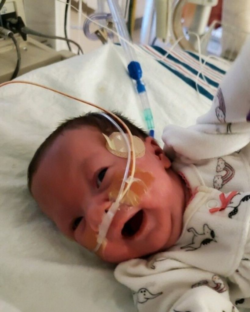 Ava  Mae Whitt Profile Photo