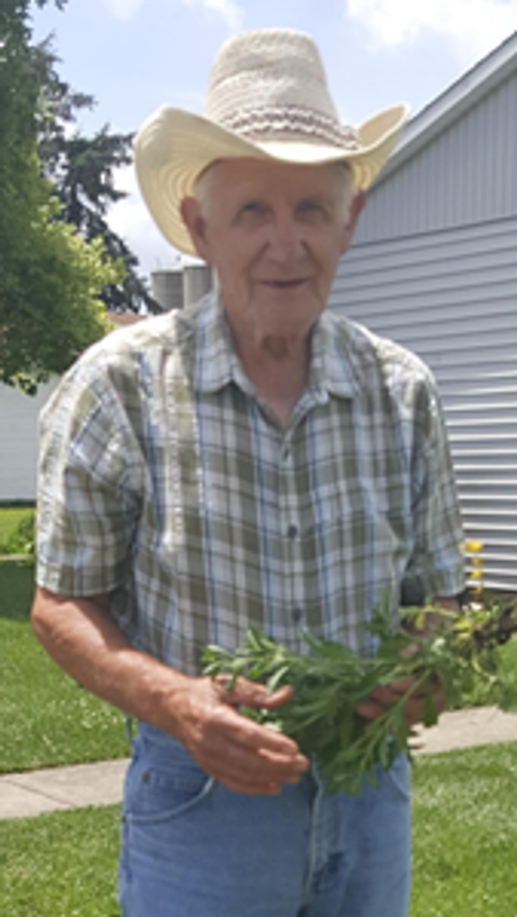 Paul Robert Lewis Profile Photo