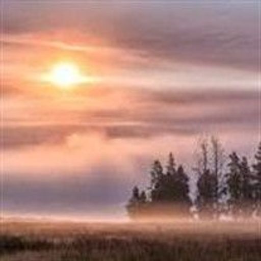 Don Alanson Drane Profile Photo