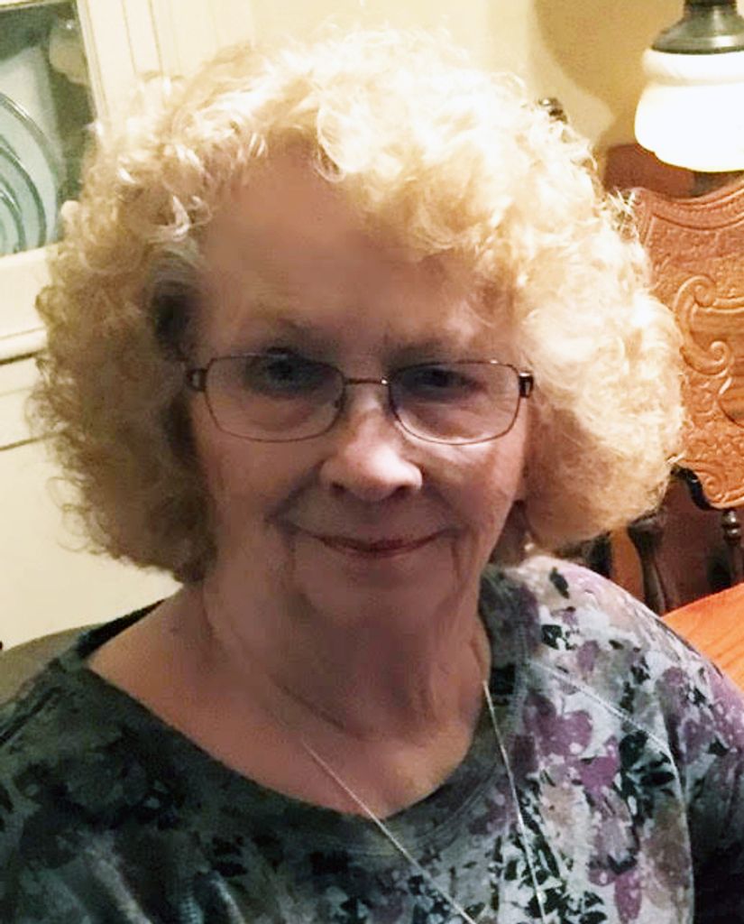 Janet Ann (Poling)  Farber