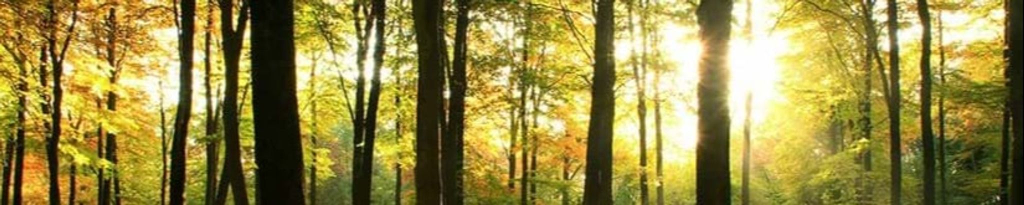 Cover photo for Ernie Bigbie's Obituary