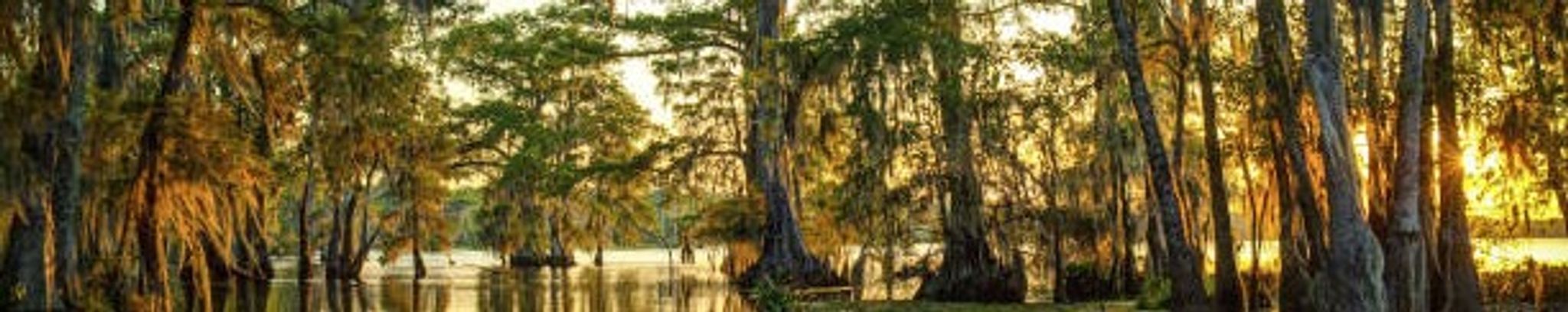 Cover photo for Joseph Anthony Billiot's Obituary
