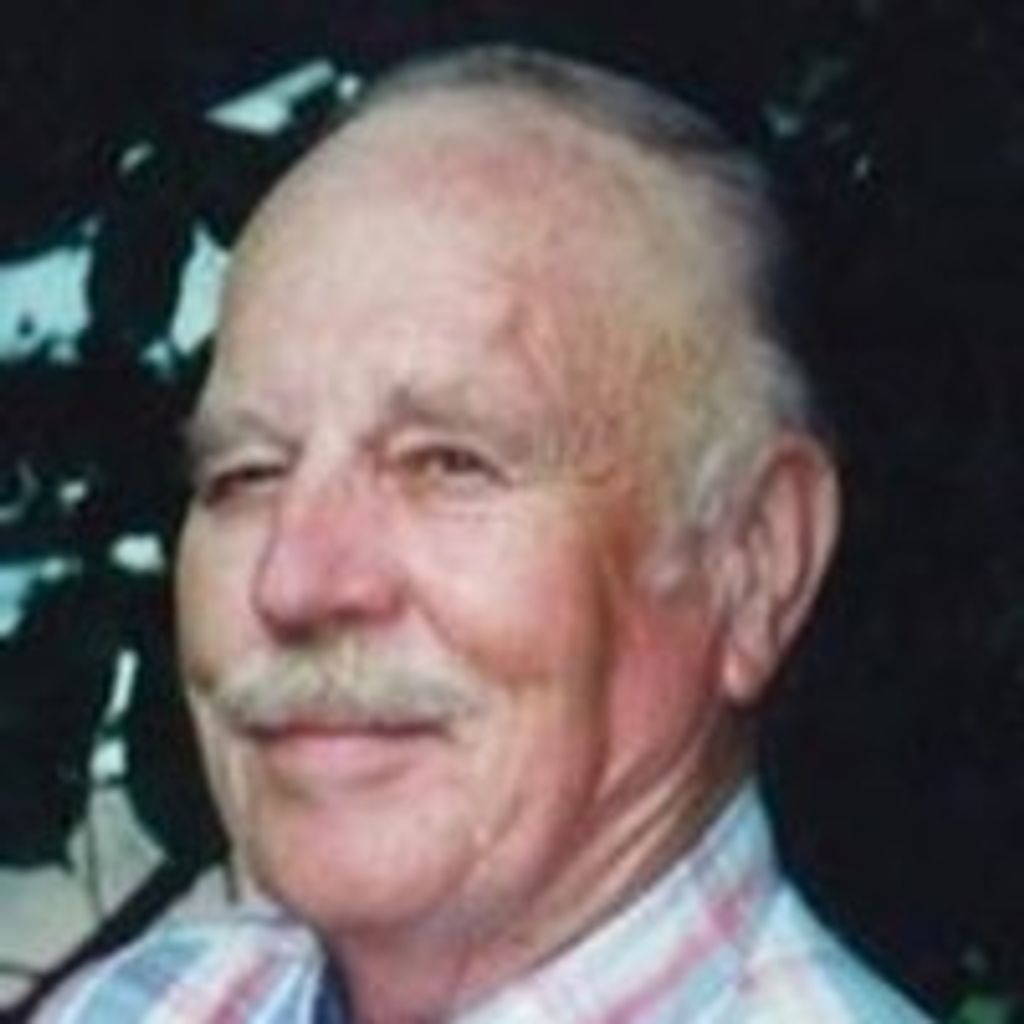 Dennis E Johnson