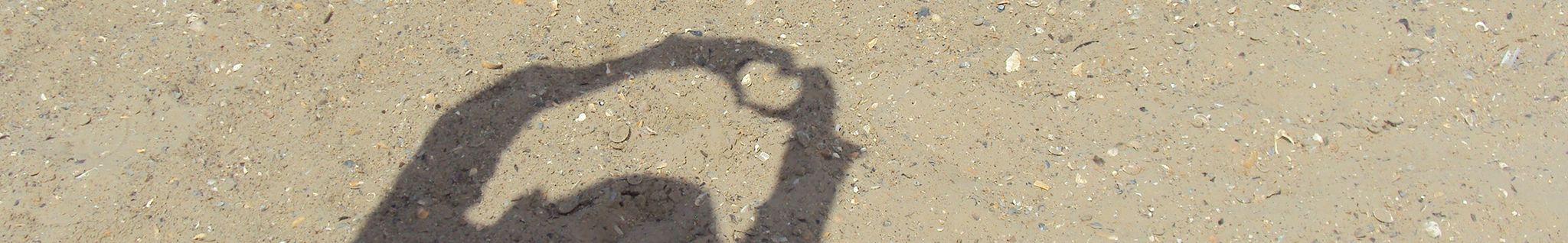 Cover for Sylvia Ann Hall's Obituary