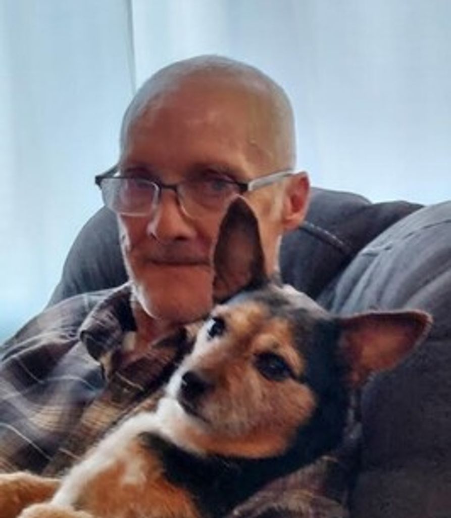 Daniel Pattison Profile Photo