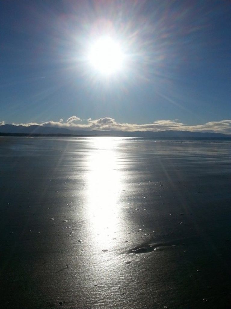 Tracey Elaine (Proctor)  Harden