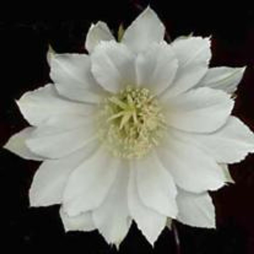 Mary M. Kieser